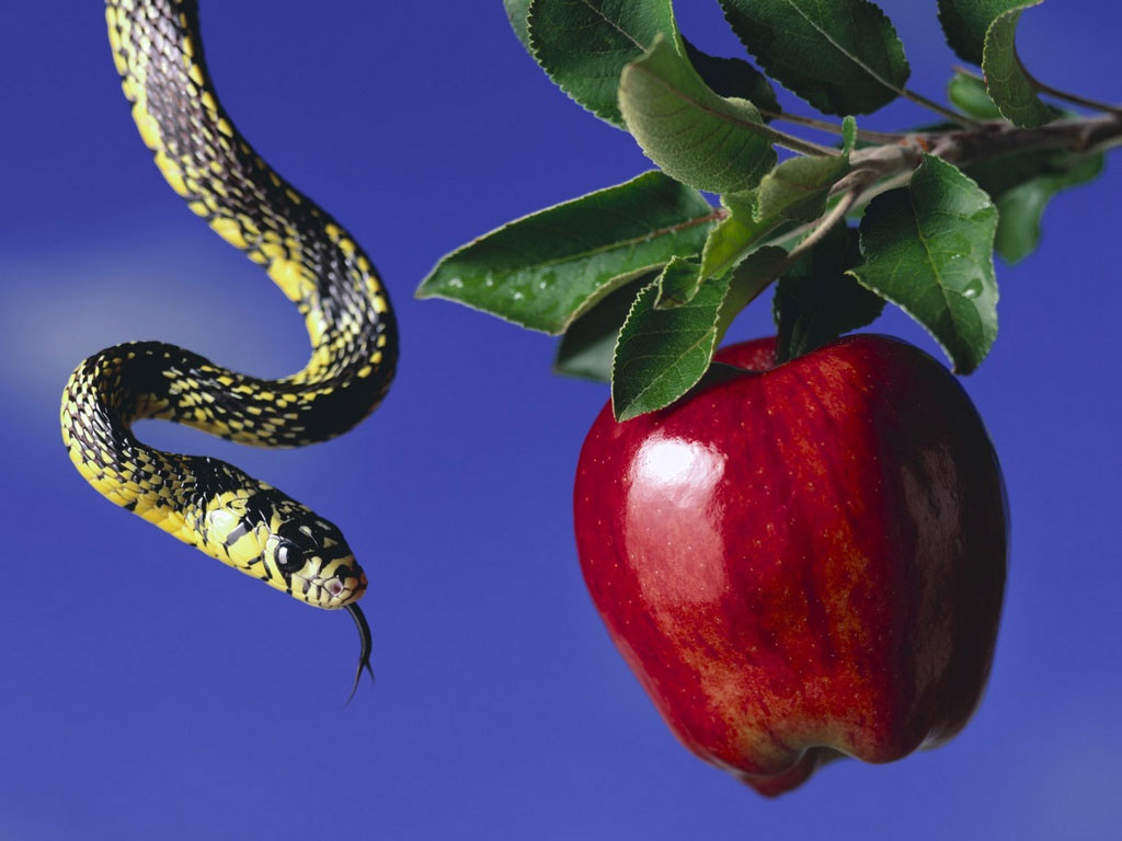 A cobra que come maçã 