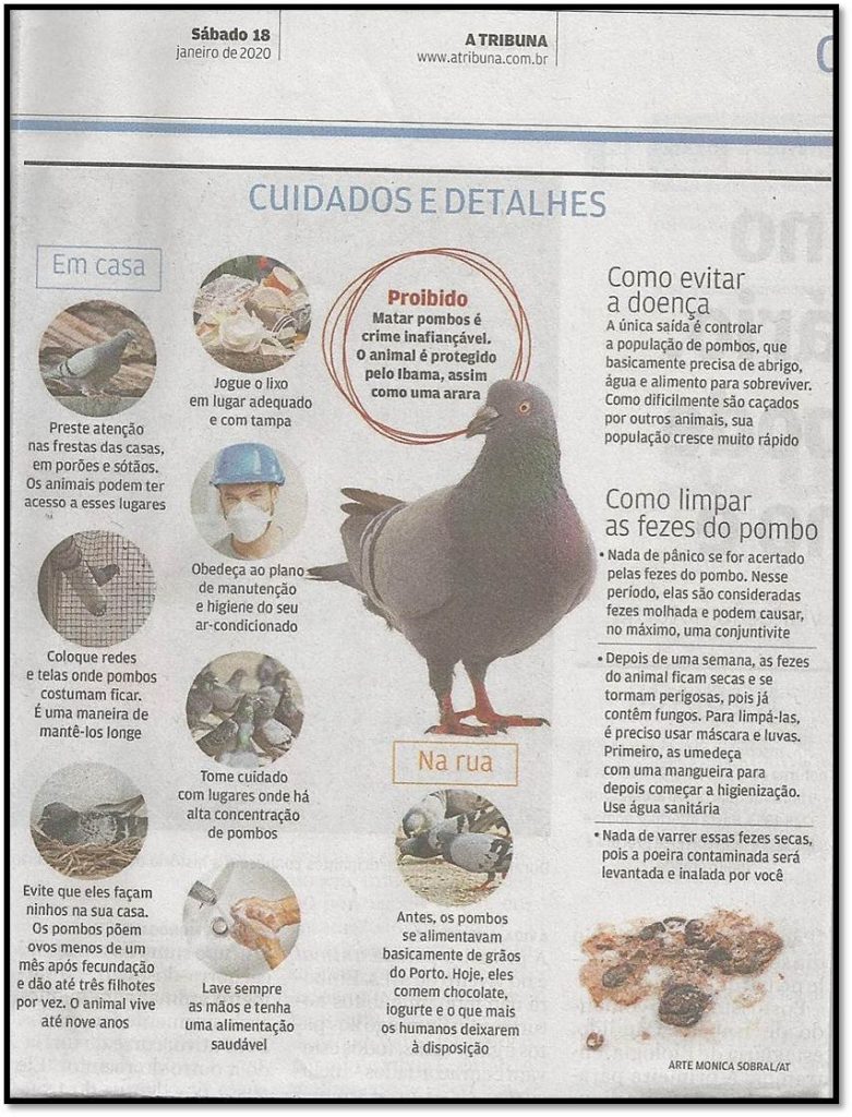 Doença Do Pombo , ORIENTAÇÕES SOBRE MANEJO E CONTROLE DE POMBOS – VMUS